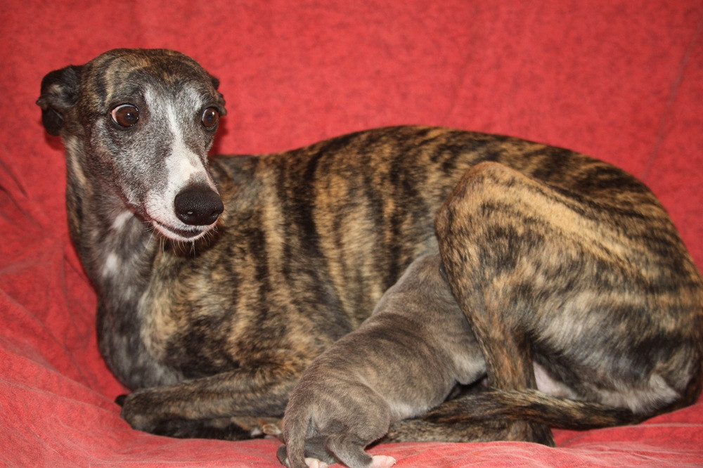 5 merveilleux bébés sont nés le 30 janvier 2026