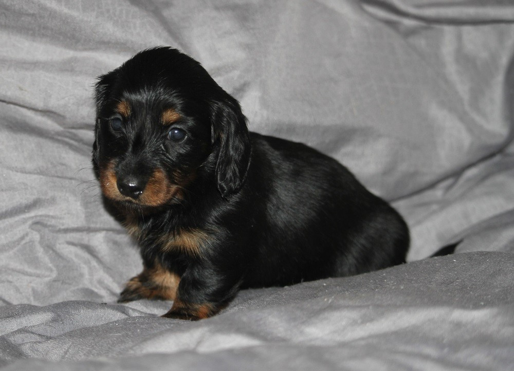 naissance de merveilleux bébés